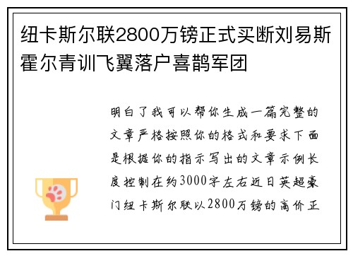 纽卡斯尔联2800万镑正式买断刘易斯霍尔青训飞翼落户喜鹊军团