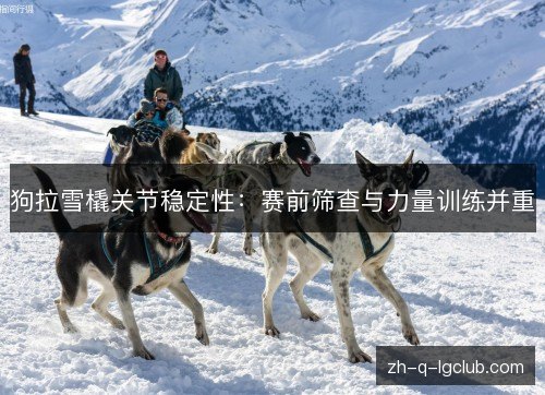 狗拉雪橇关节稳定性：赛前筛查与力量训练并重